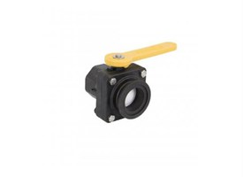 Banjo Manifold Stubby Valves - 2"